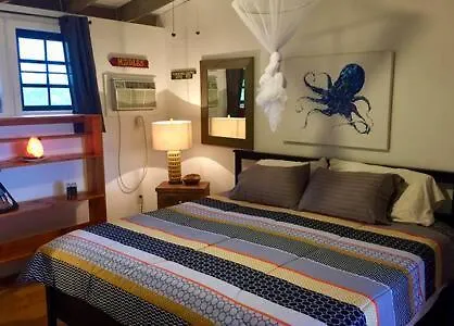 Breezy Loft Oceanview, Walk To Beach And Plaza リンコン アパート