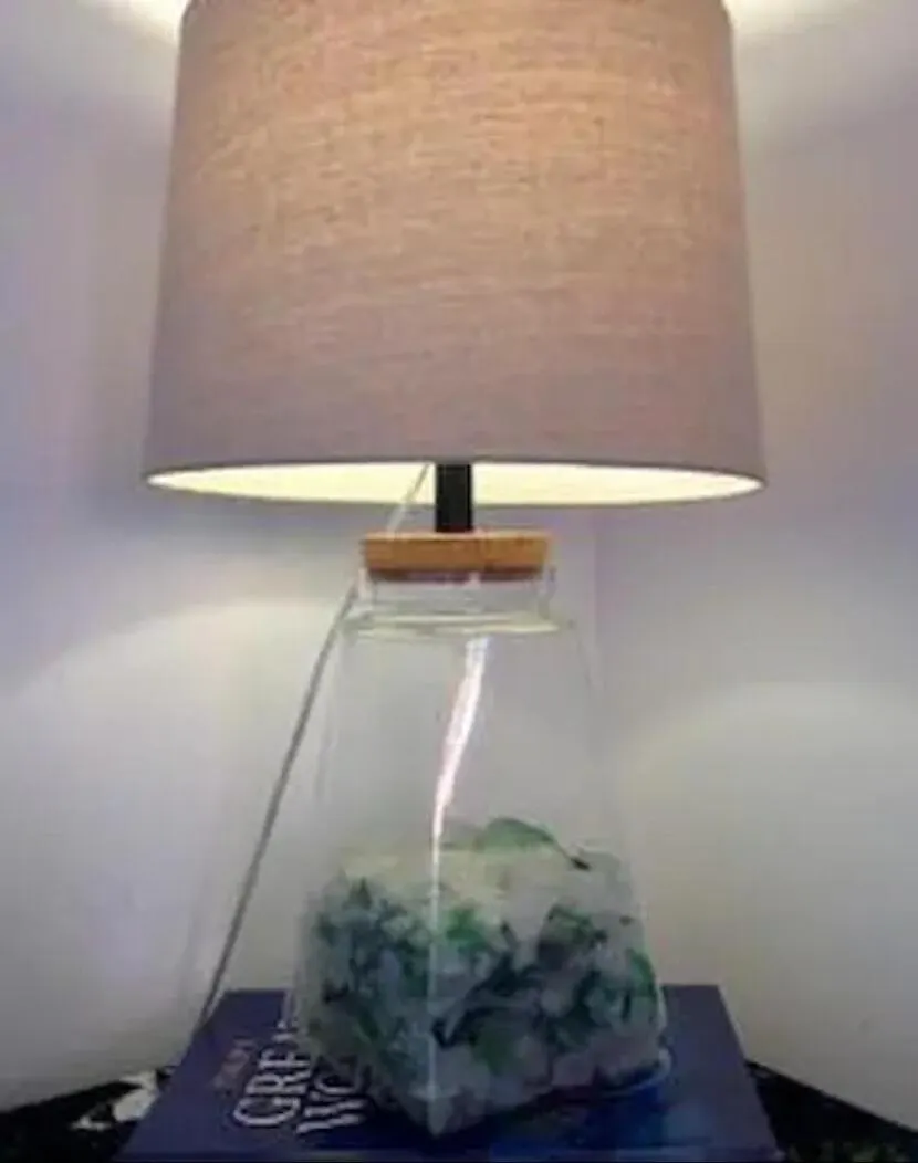 Breezy Loft Oceanview, Walk To Beach And Plaza リンコン 0*,