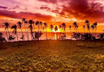 Breezy Loft Oceanview, Walk To Beach And Plaza Rincón 0*,