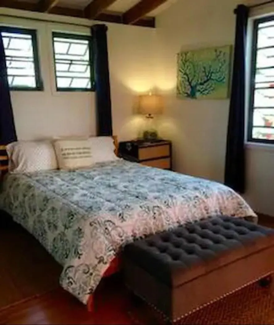Breezy Loft Oceanview, Walk To Beach And Plaza Rincón Apartmán