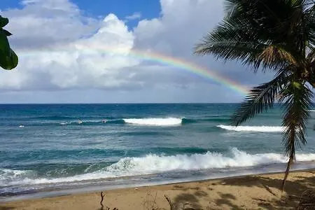 Διαμέρισμα Breezy Loft Oceanview, Walk To Beach And Plaza Rincon Πουέρτο Ρίκο